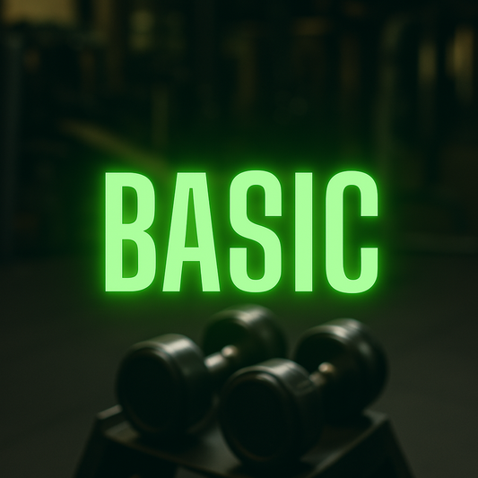 Basic Ebook